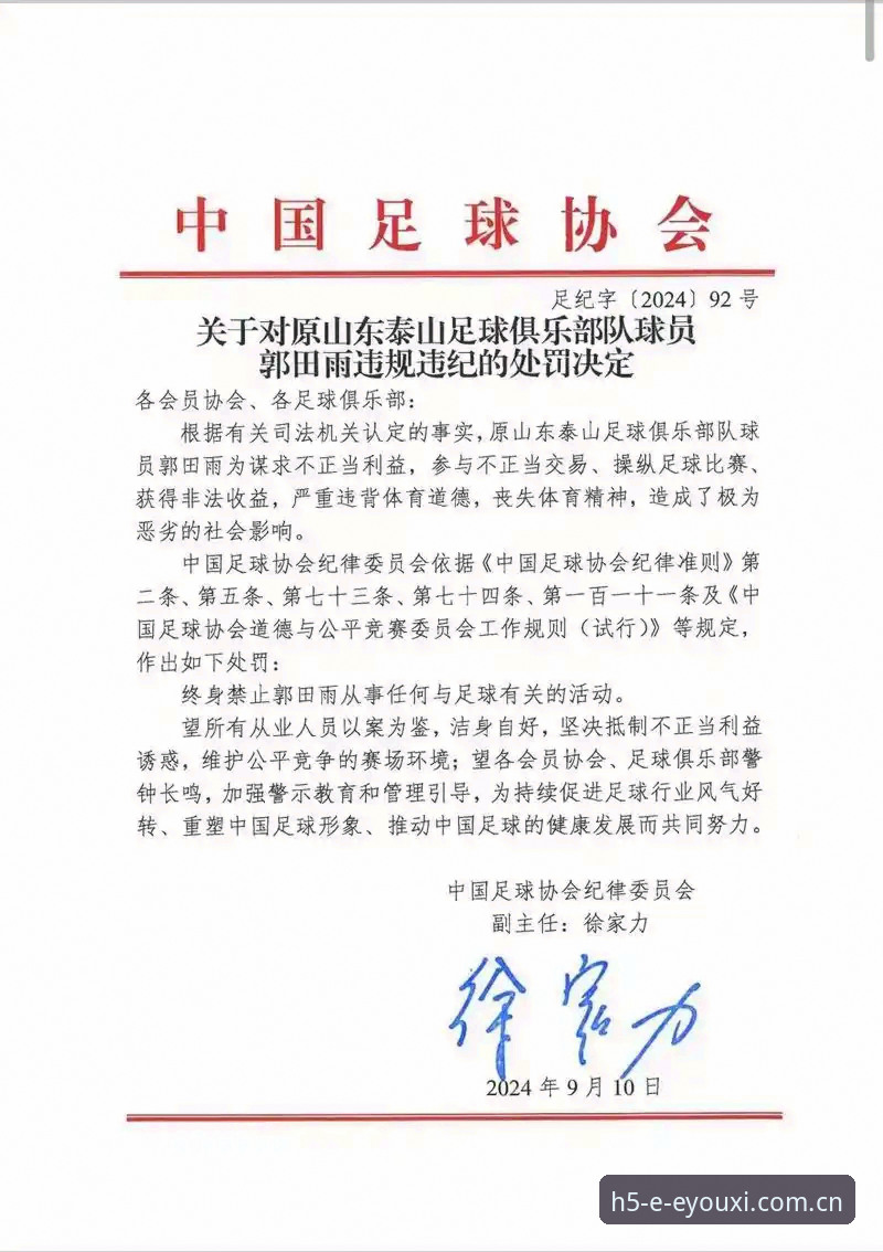 中国足协第三批禁足名单深度分析：从65人处罚透视足球腐败治理全景